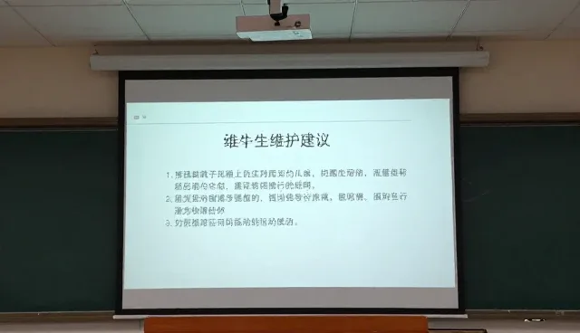 教学互动设备使用中常见问题与维护技巧